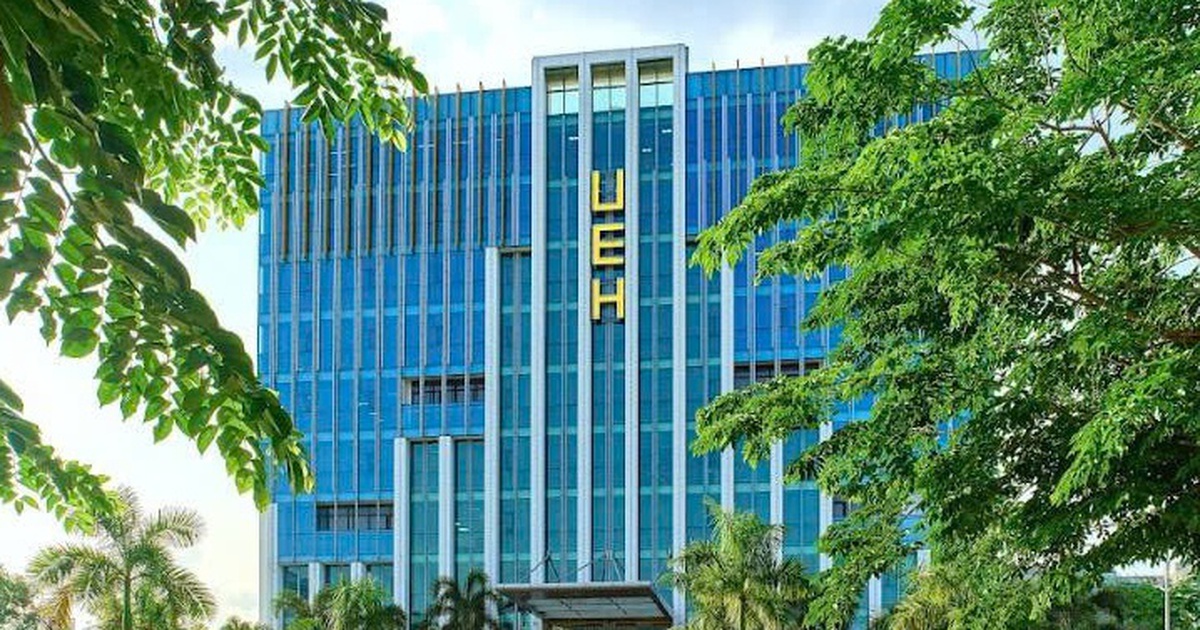 Cử nhân UEH và con số 30% ấn tượng làm việc tại công ty nước ngoài